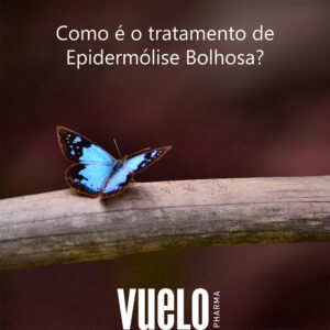 Borboleta azul em um galho de árvore tratamento de epidermólise bolhosa