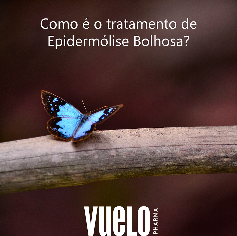 Borboleta azul em um galho de árvore