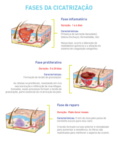 Infográfico com descrições e ilustrações das fases do processo de cicatrização da pele