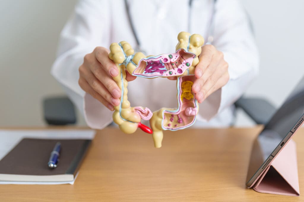 Gastroenterologista: quando consultar e o que ele trata