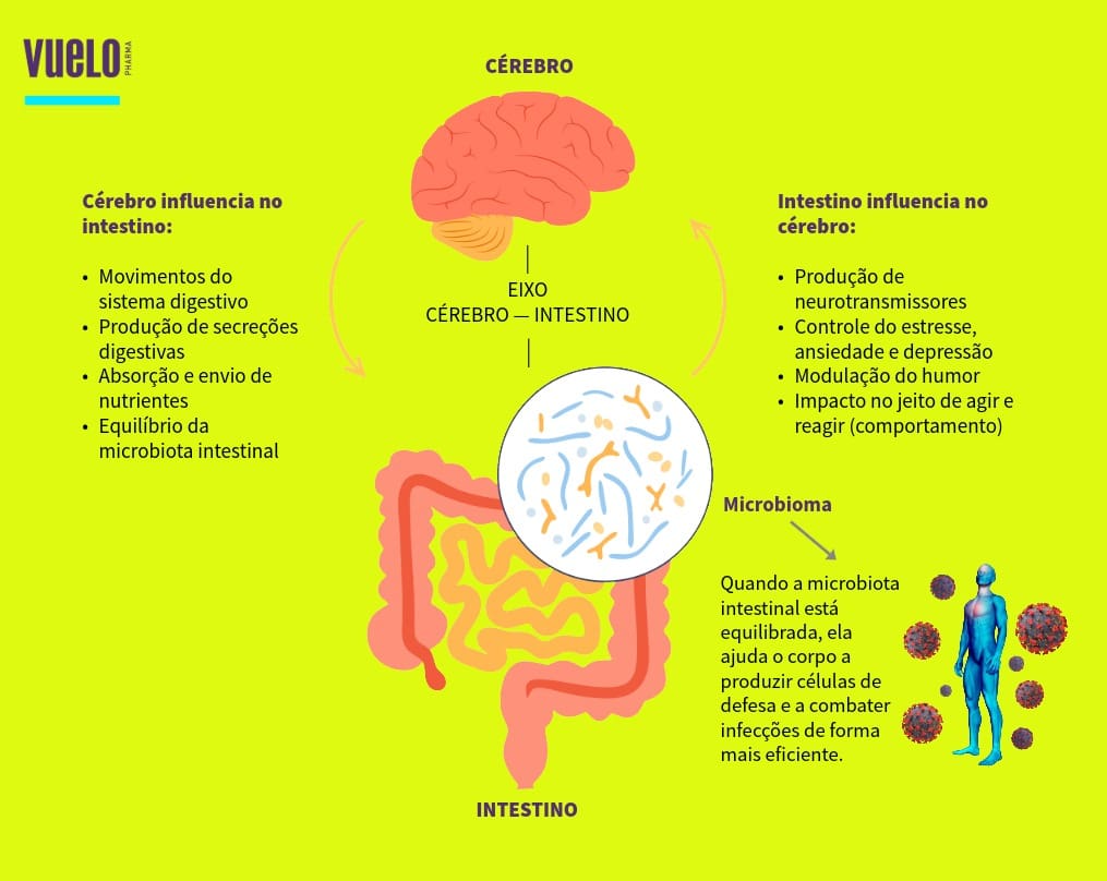 Intestino grosso: como ele cuida do seu corpo e bem‑estar