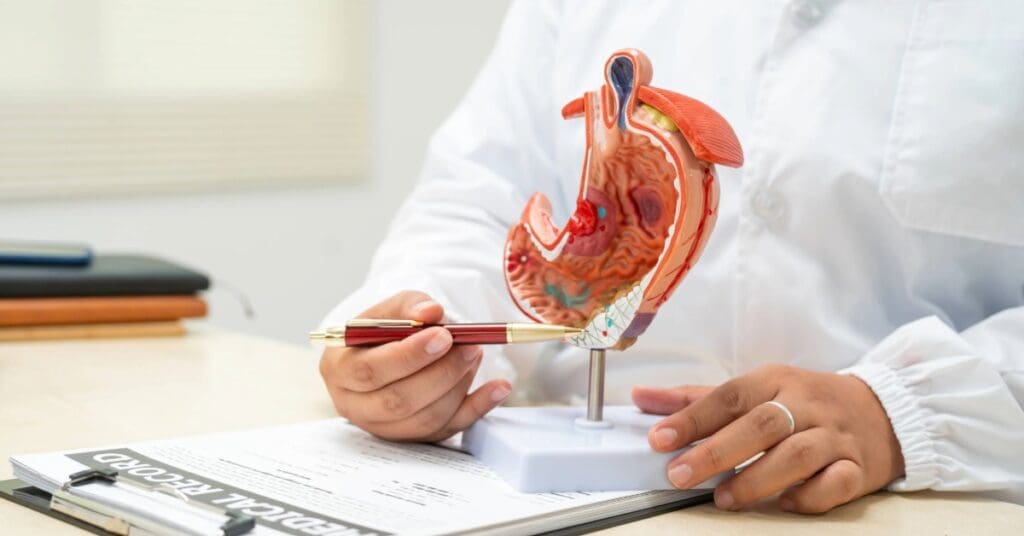 Intestino grosso: como ele cuida do seu corpo e bem‑estar