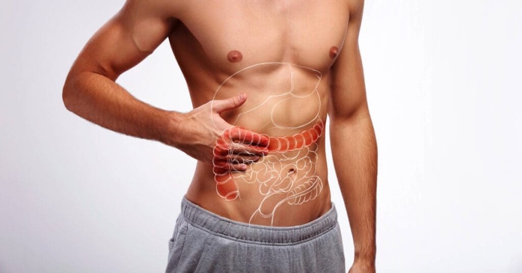 Intestino grosso: como ele cuida do seu corpo e bem‑estar