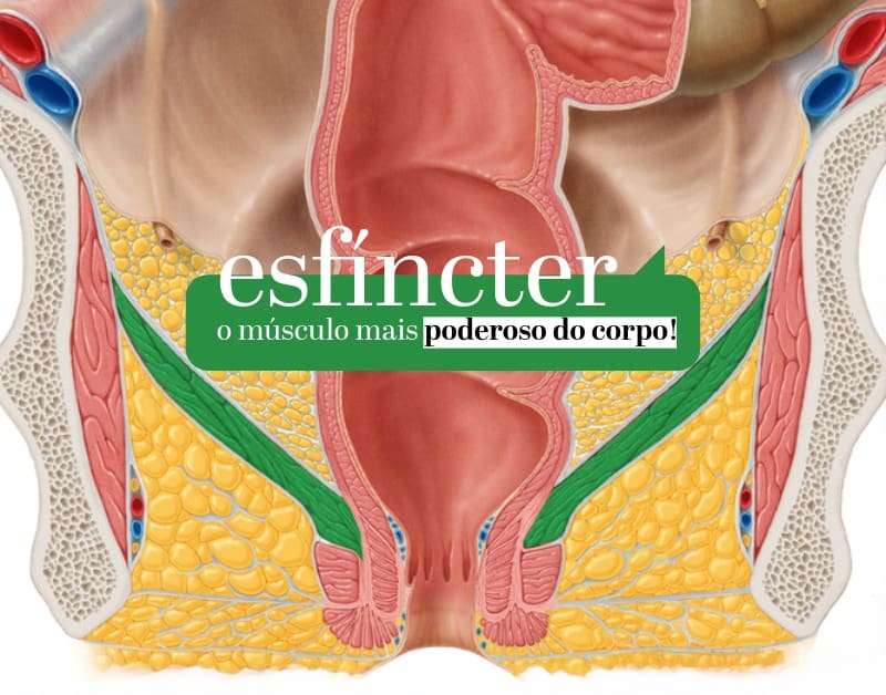 O que é Esfíncter: Tipos, Funções e Importância